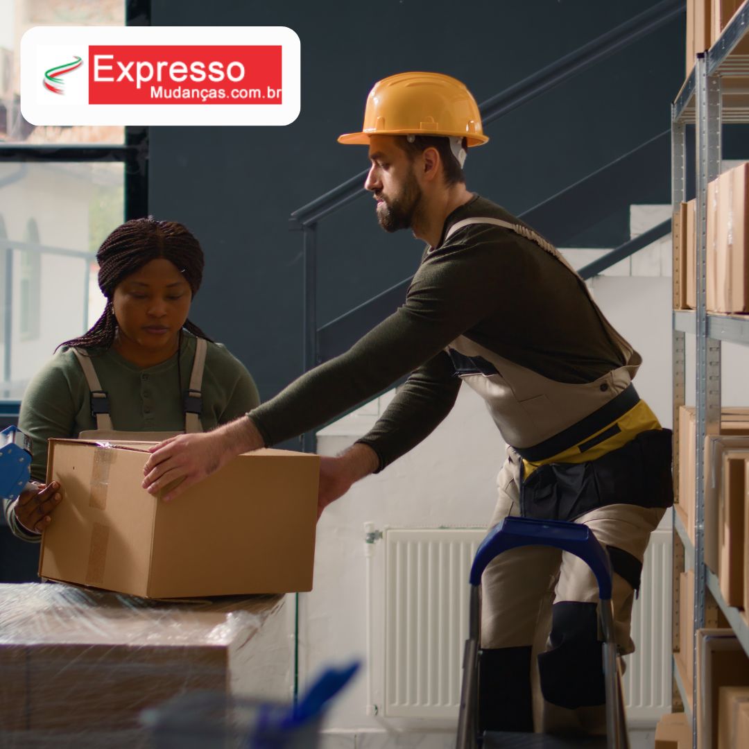 Mudanças Exclusiva (3)