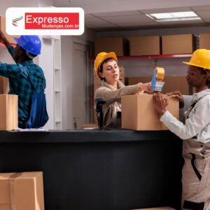 Mudanças Residenciais de Longa Distância e Interestaduais