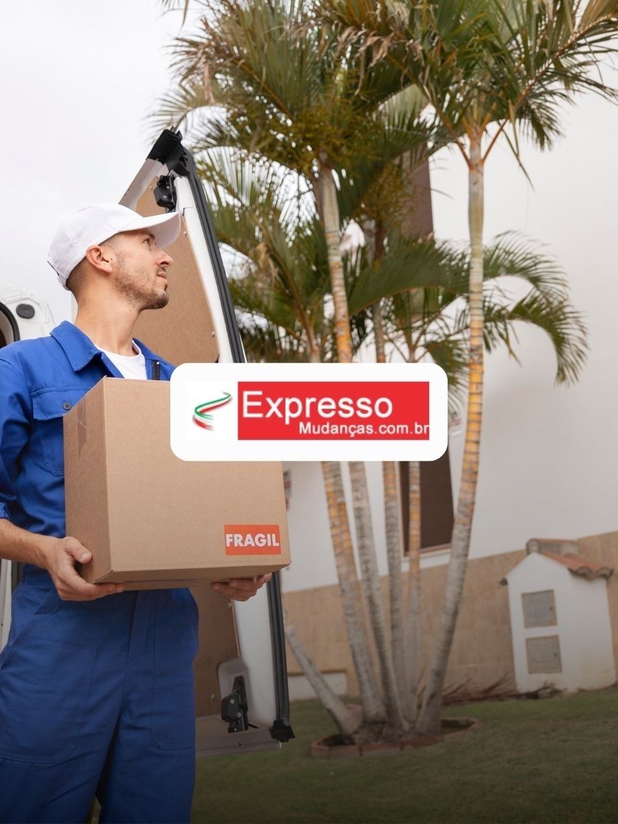 123123123123123123123123