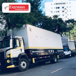 Mudanças Residenciais com Equipe Especializada